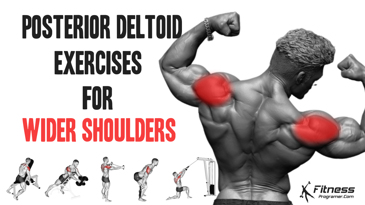 The Importance of Posterior Deltoid Exercises for Shoulder Width: 10 Posterior Deltoid Exercises