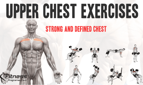 The Best Upper Chest Exercises for Building a Strong and Defined Chest
