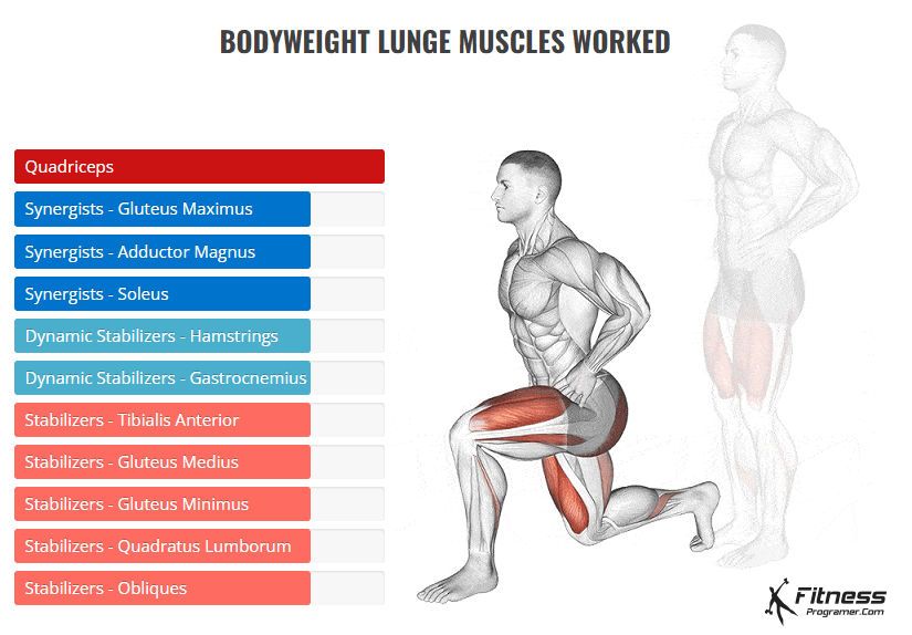 bodyweight lunge muscles worked