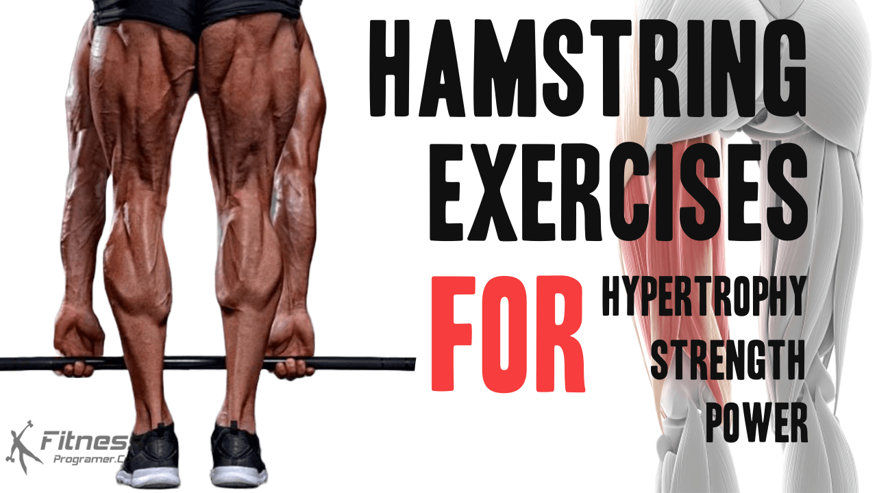 15 Best Hamstring Exercises for Strong and Functional Legs