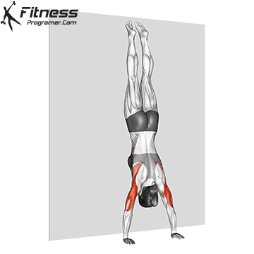 Wall-Supported Handstand Push-Ups