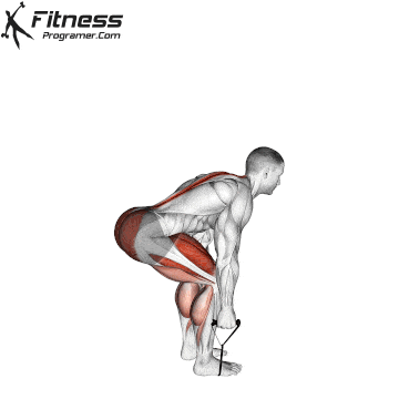 Barbell Hip Exercises. 5 You need to try barbell exercises strong hips 33 Banded Deadlift: