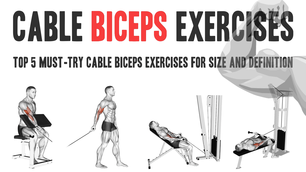 https://fitnessprogramer.com/wp-content/uploads/2023/08/cable-biceps-exercises.png