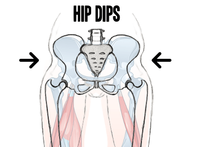 What are hip dips? The inward depression down the side of your body, right  below the hip bone, is known as hip dips. Some refer to them as violin hips.  Instead of