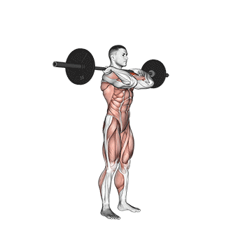 how to do the Push Press