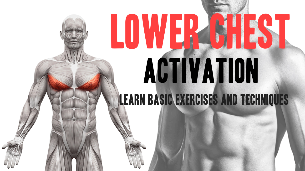Lower Chest Activation: Learn Basic Exercises and Techniques