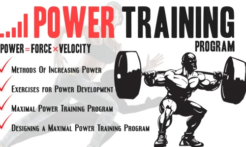 The Fundamentals of Power Training: A Beginner’s Guide