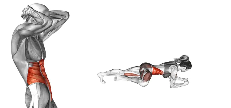 spider plank muscles
