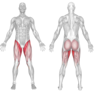 standing leg circles muscles worked