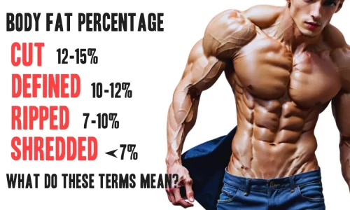 Cut, Defined, Ripped, Shredded: What Do These Terms Mean?