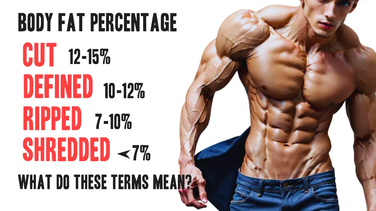 Cut, Defined, Ripped, Shredded: What Do These Terms Mean?