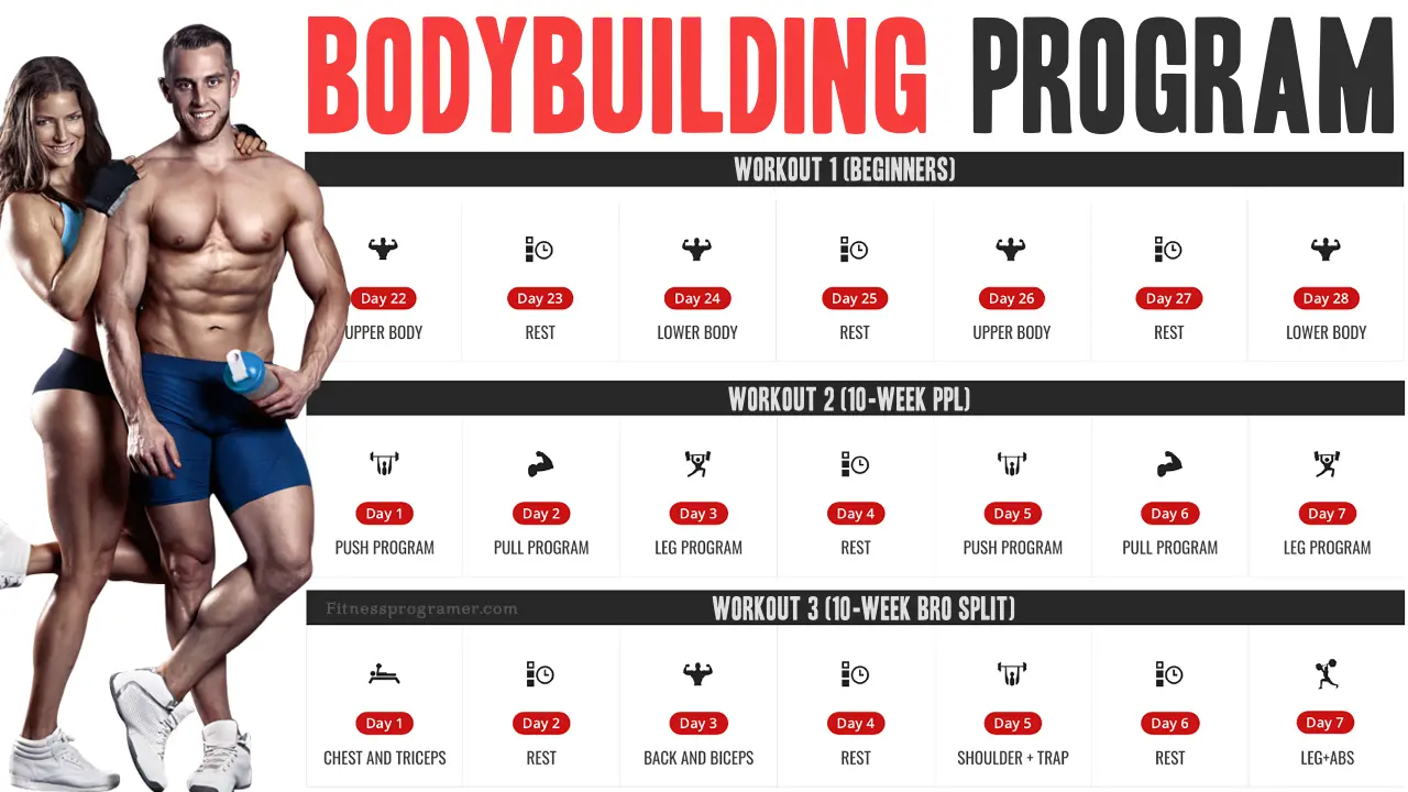 bodybuilding workout program