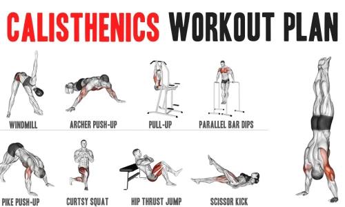 Are You Looking For A Perfect Calisthenics Workout Plan?