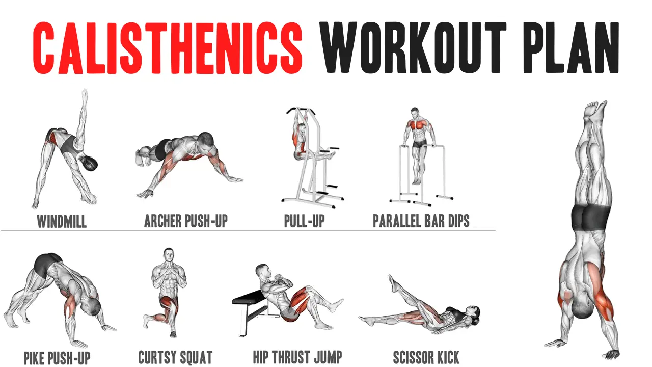 Are You Looking For A Perfect Calisthenics Workout Plan 