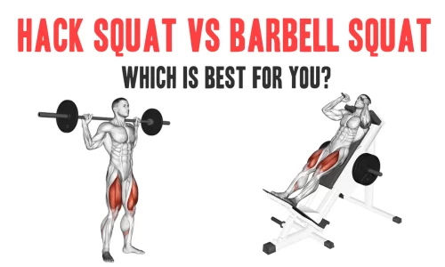 Hack Squat vs. Barbell Squat: Which is Best for You?
