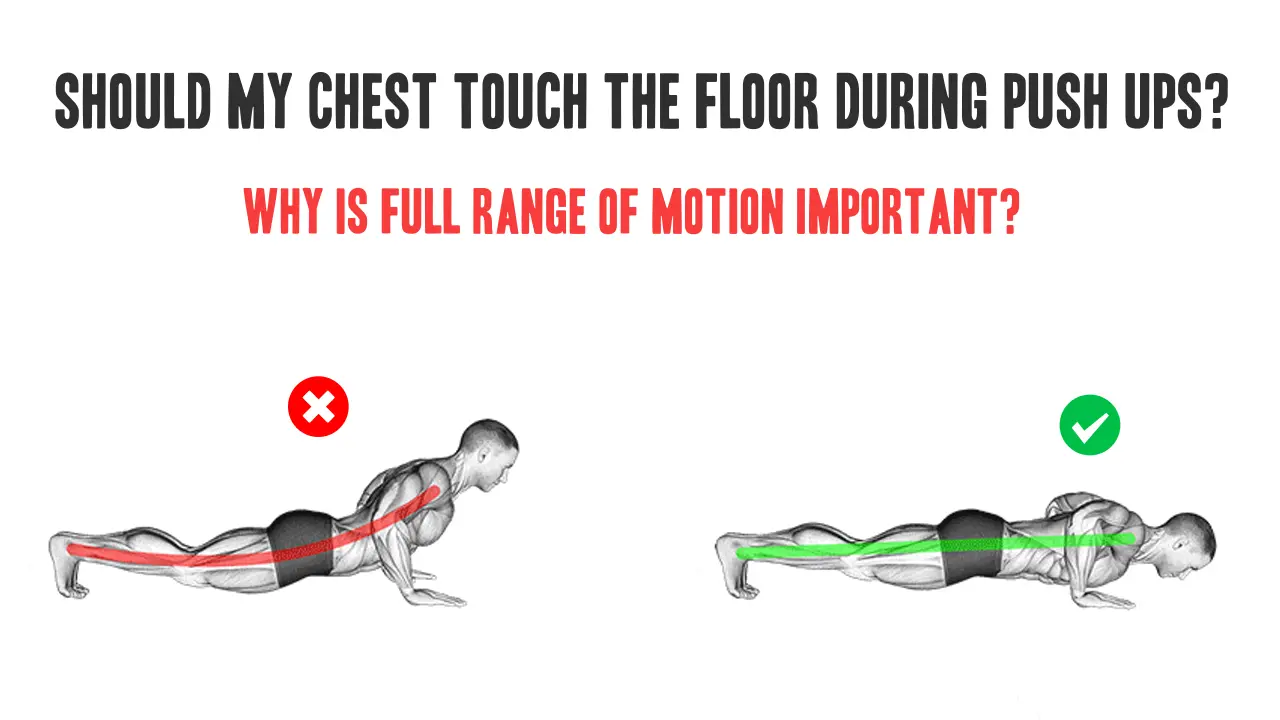Is your body supposed to touch the ground during push ups?
