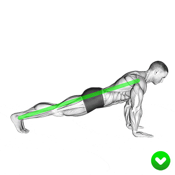push up ideal position
