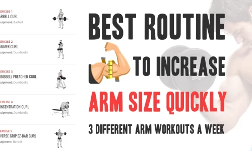 What is the best routine to increase your arm size quickly?