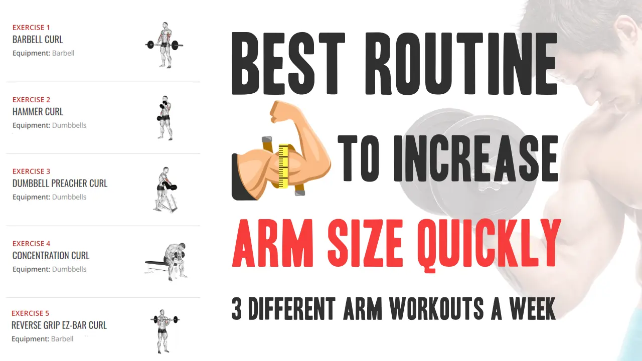 What is the best routine to increase your arm size quickly?