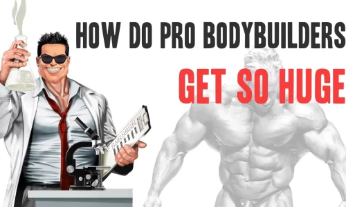 What techniques do pro bodybuilders use to get so huge?