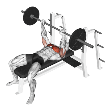 The Correct Way to Do a Bench Press