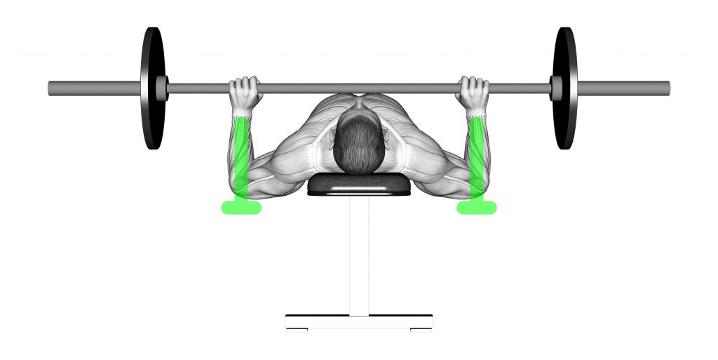 bench press grip