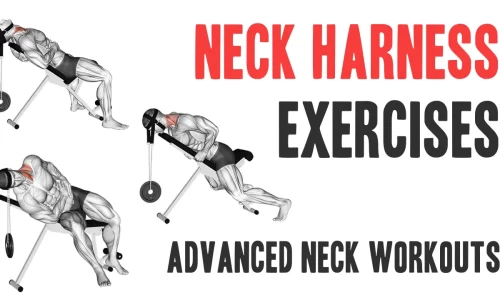 3 Weighted Neck Harness Exercises: Advanced Neck Workouts