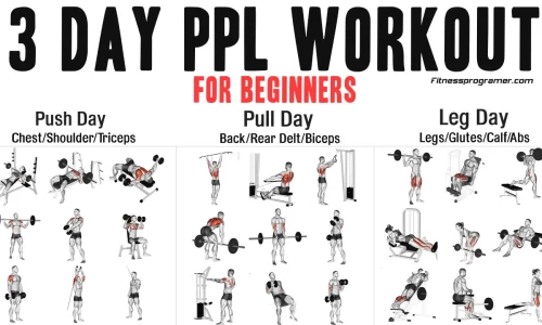 3-Day PPL Workout Routine for Beginners