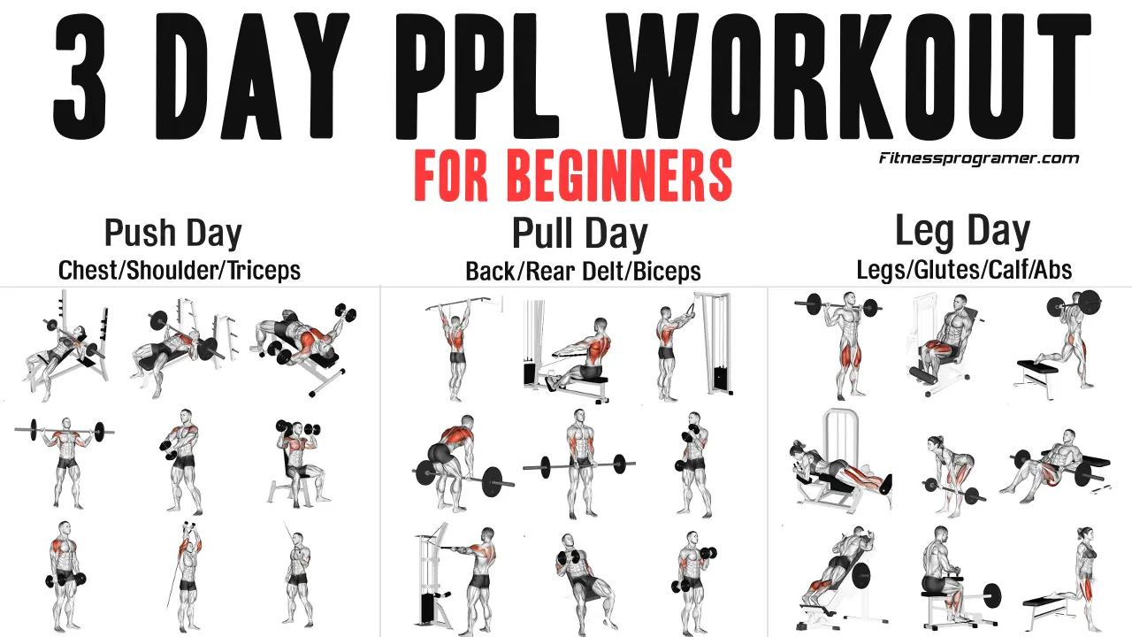 3-Day PPL Workout Routine for Beginners