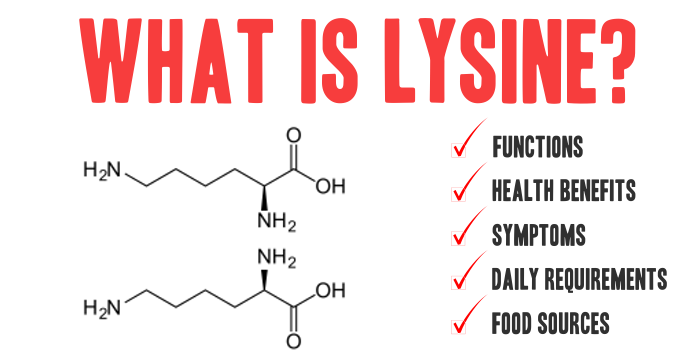 The Many Benefits of Lysine: How to Get Enough Daily