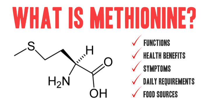 Methionine: Food Sources and Its Importance for Your Body