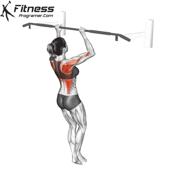 A narrow upper half pulls a female