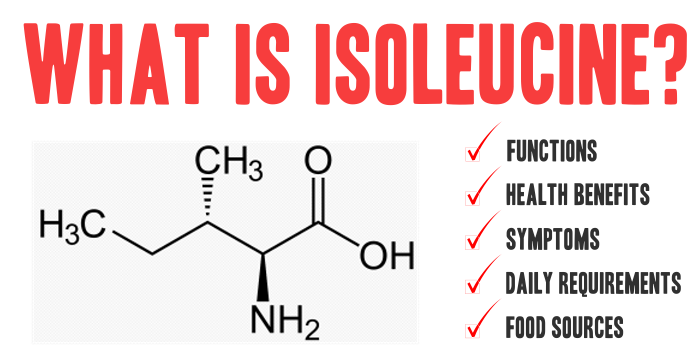 Isoleucine: Function, Benefits and Best Food Sources