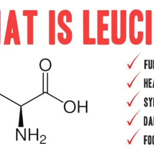 What Is Leucine