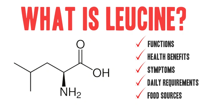 Leucine Benefits: Does It Really Boost Muscle Gains?