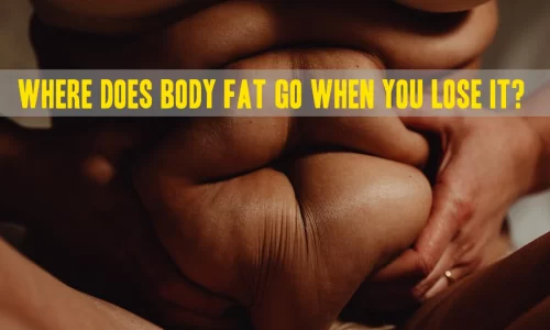 Ever Wonder Where Your Fat Disappears To When You Lose Weight?