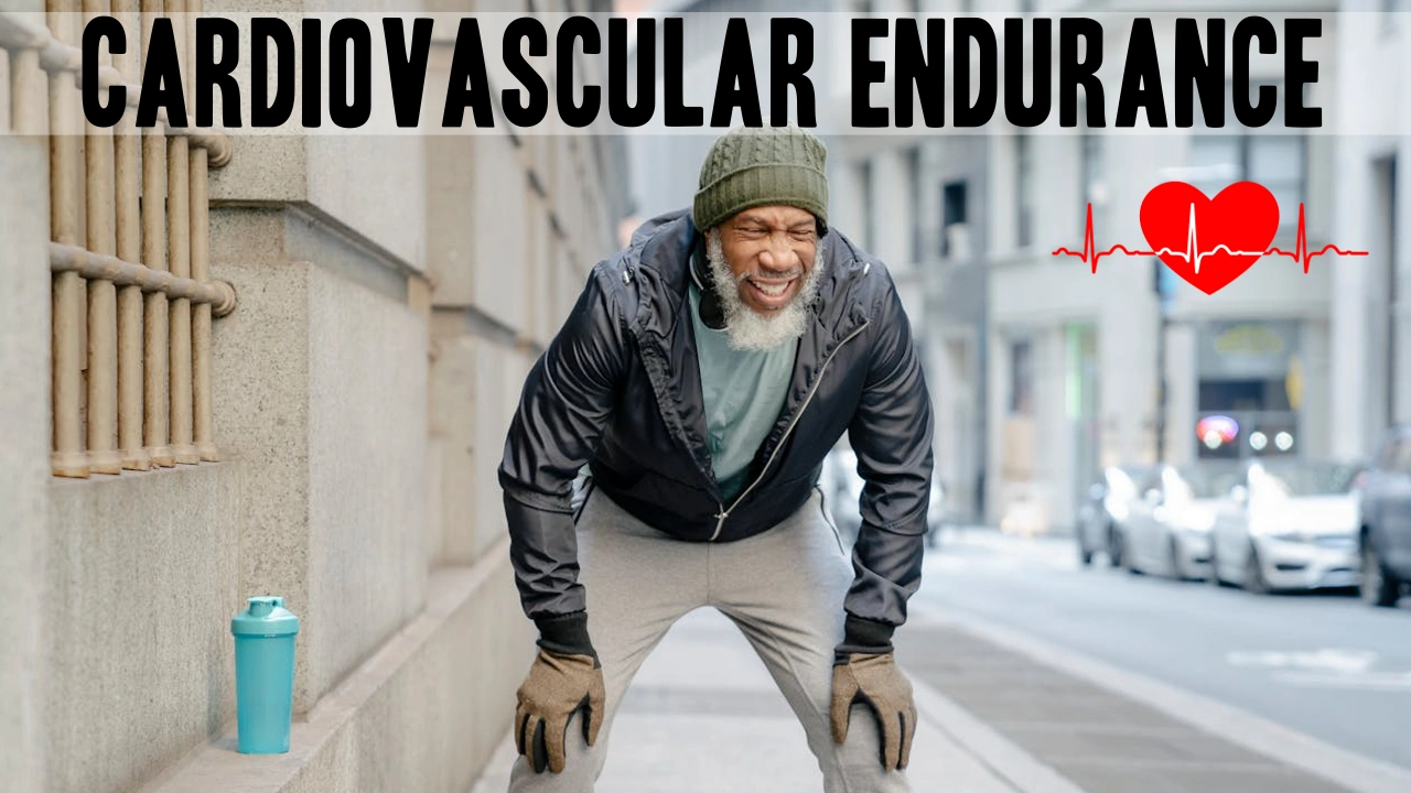 Discover Why Cardiovascular Endurance Is So Important