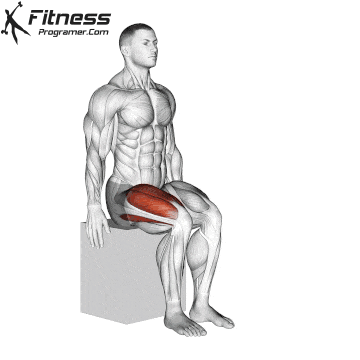Sitting knee stretch