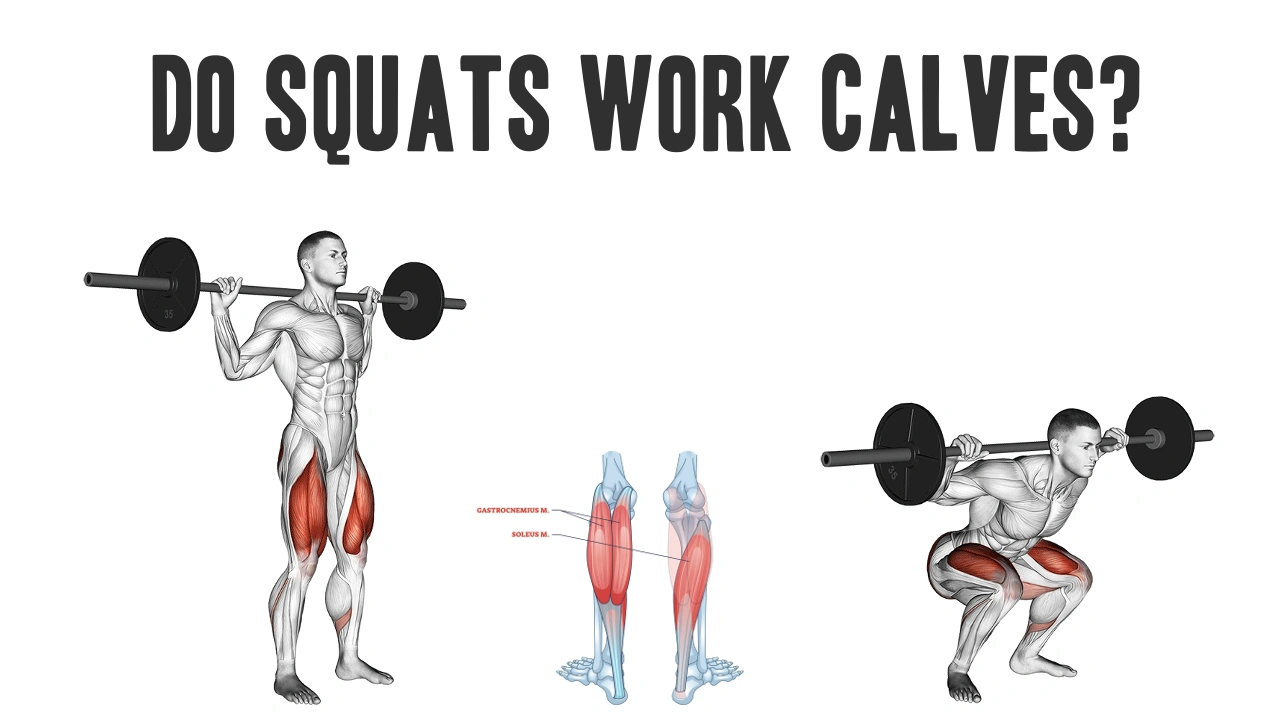 Squats & Calves: Do They Work Together?