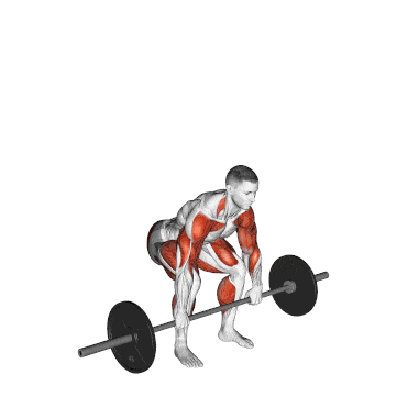 Weightlifting against weightlifting: What is the difference? 10 Clean and tremor