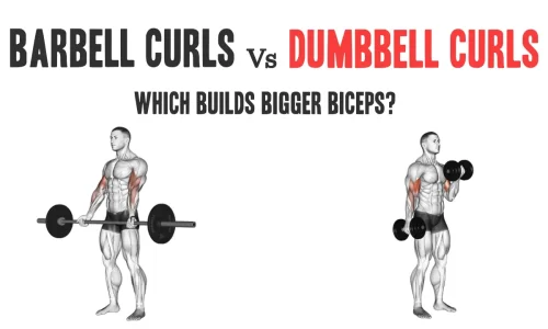 Barbell Curls vs. Dumbbell Curls: Which Builds Bigger Biceps?