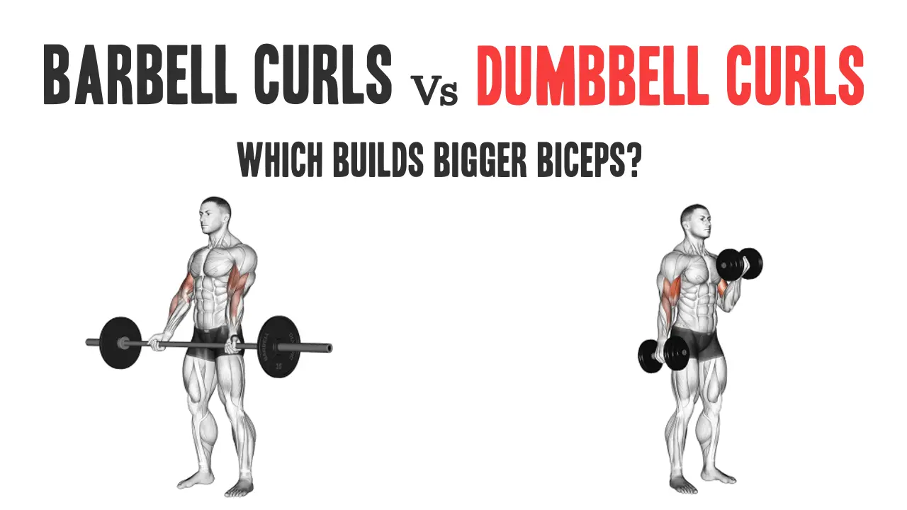 Barbell Curls vs. Dumbbell Curls: Which Builds Bigger Biceps?