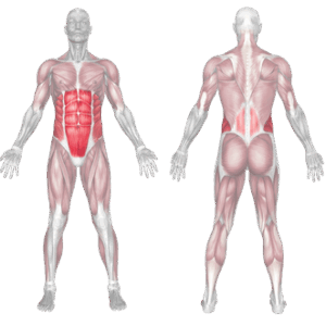 Body Saw Plank 2 Body Saw Plank Muscles Worked 1