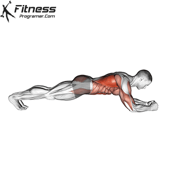 Master The Body Saw Plank Form Benefits Pro Tips Master The Body Saw Plank Form Benefits Pro Tips