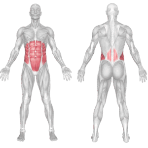 Standing Stomach Vacuum 2 standing stomach vacuum muscles worked