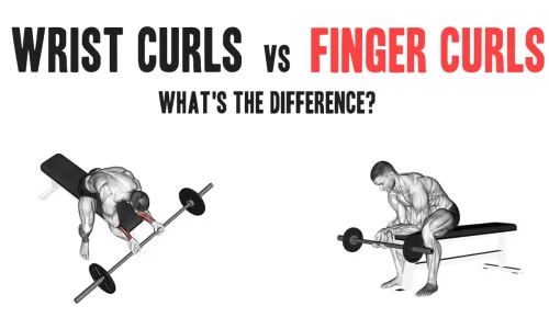 Finger Curls vs. Wrist Curls: What’s the Difference?