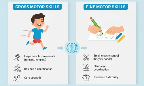 Understanding Motor Skills: The Foundation of Movement
