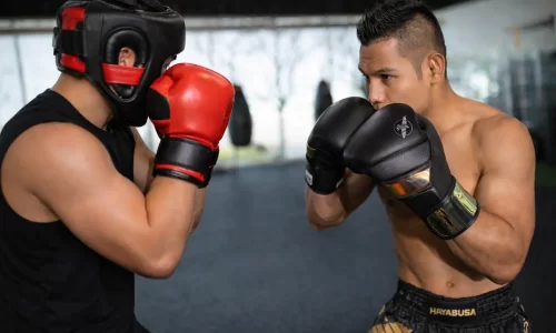 The Body’s Insurance Policy: The High-Stakes Reality of Martial Arts Protection